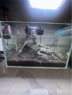 (Category: ) located in . Submitted by nagani (Listing ID 1421675575, Image 1). Description: .