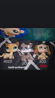 (Category: ) located in . Submitted by mikachwu (Listing ID 1421687806, Image 1). Description: .