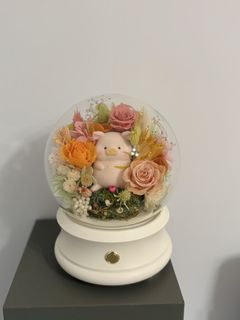 （分類：）位於 。 由 yausellyea 提交（商品編號 1421773528，圖片 1）。簡介： 。