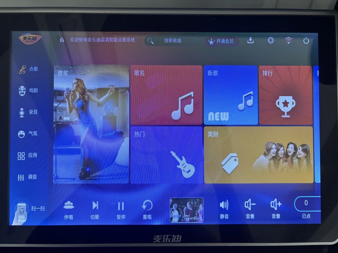 Professional Karaoke System with Microphones
