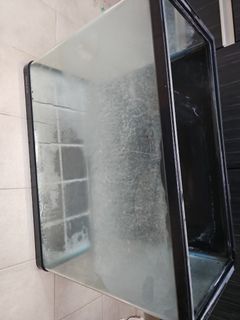 Glass Aquarium Tank - 24