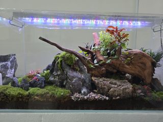 (Category: ) located in . Submitted by jft123 (Listing ID 1421818871, Image 1). Description: .