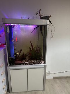 6 ft fish tank, Pet Supplies, Homes & Other Pet Accessories on Carousell