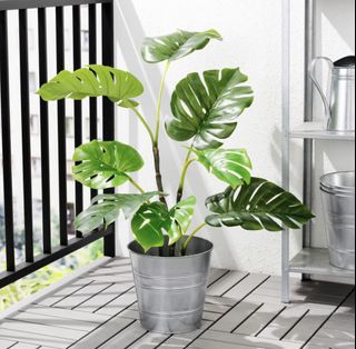 (Category: ) located in . Submitted by lamalawa (Listing ID 1421810994, Image 1). Description: .