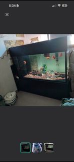 (Category: ) located in . Submitted by 7astser1es (Listing ID 1421937094, Image 1). Description: .