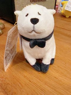 由 wonderful21 (刊登 ID 1422002640，圖片 1) 提交，位於 的 (類別：)，說明：。