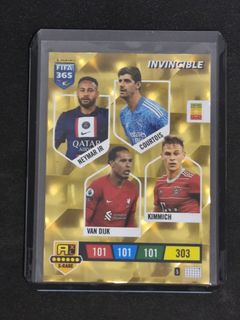 Panini Invincible World Cup Trading Card, Hobbies & Toys, Toys & Games ...