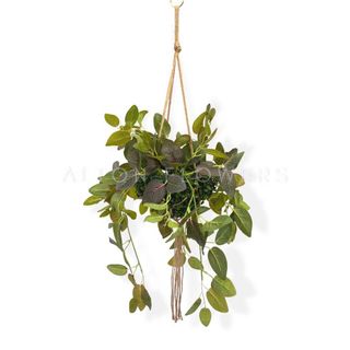 (Category: ) located in . Submitted by altonflowerscomm (Listing ID 1422079297, Image 1). Description: .