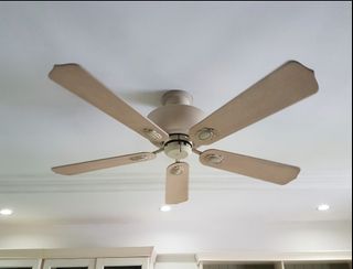 (Category: ) located in . Submitted by humble3671 (Listing ID 1422139531, Image 1). Description: .
