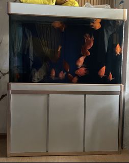 (Category: ) located in . Submitted by proxdeen (Listing ID 1422227732, Image 1). Description: .