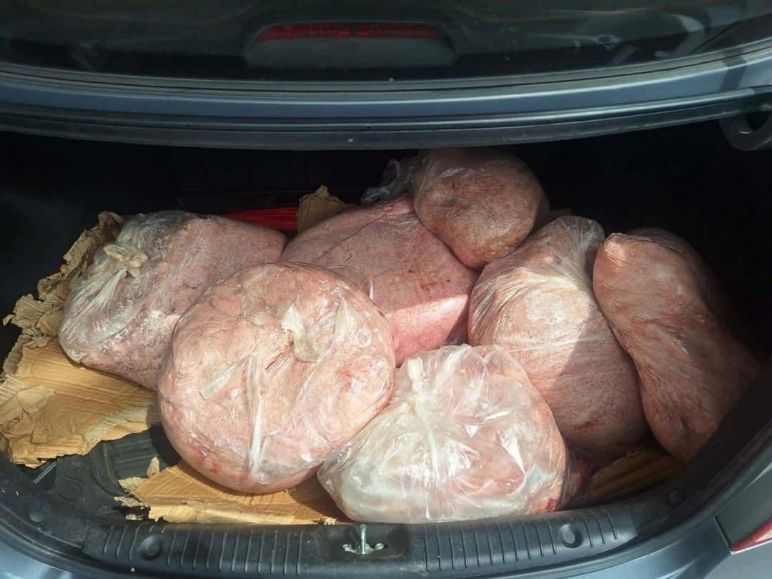 Pork sawdust (Category: Pet Food) located in Manila. Submitted by mariecunan80818 (Listing ID 1422161905, Image 2). Description: - Freshly frozen meat - Ready for cooking - Stored in bags - Well-preserved - Perfect for various dishes - Available in bulk.