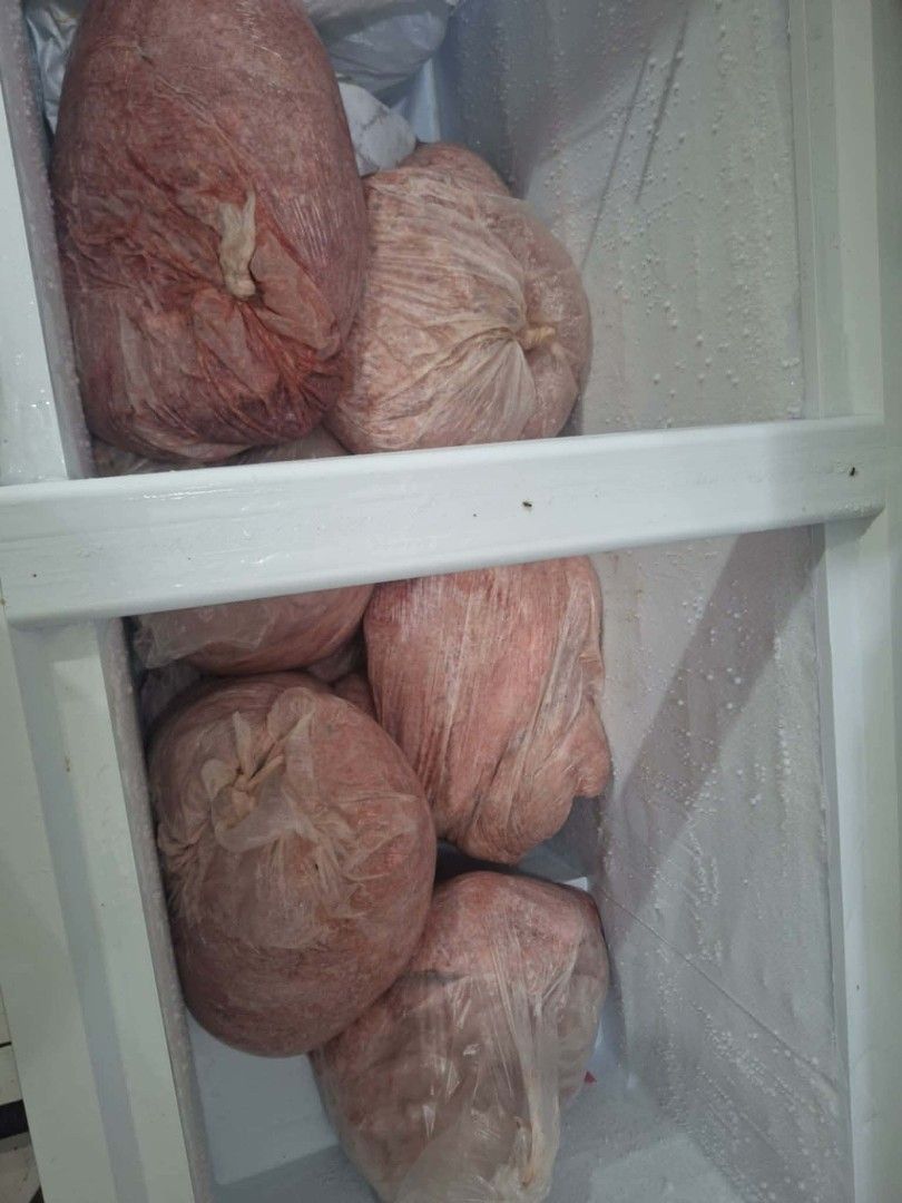 Pork sawdust (Category: Pet Food) located in Manila. Submitted by mariecunan80818 (Listing ID 1422161905, Image 1). Description: - Freshly frozen meat - Ready for cooking - Stored in bags - Well-preserved - Perfect for various dishes - Available in bulk.