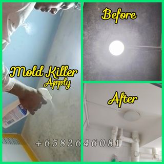 Anti Mould Treatment  Collection item 1