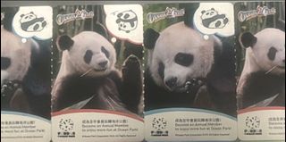 （分類：）位於 。 由 blueboobaby 提交（商品編號 1407939080，圖片 1）。簡介： 。
