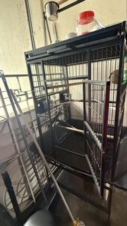 (Category: ) located in . Submitted by memoryhoh2046 (Listing ID 1422361185, Image 1). Description: .