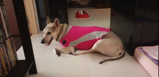 (Category: ) located in . Submitted by gloriousdayss (Listing ID 1422321610, Image 1). Description: .