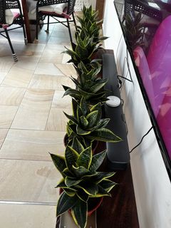 (Category: ) located in . Submitted by marymaryquitecontary (Listing ID 1422249027, Image 1). Description: .