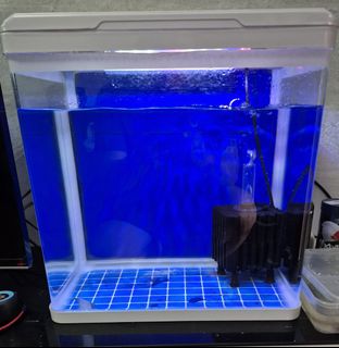 (Category: ) located in . Submitted by smart_deal (Listing ID 1422325543, Image 1). Description: .