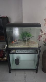 (Category: ) located in . Submitted by irwn.frdly (Listing ID 1419280112, Image 1). Description: .
