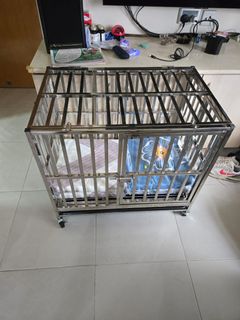 （分類：）位於 。 由 howard21917 提交（商品編號 1419305683，圖片 1）。簡介： 。