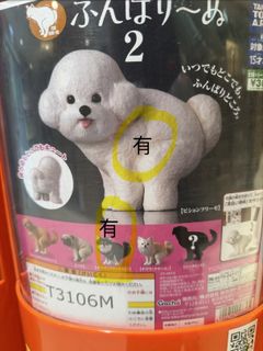 （分類：）位於 。 由 mstomatoshop 提交（商品編號 1419318897，圖片 1）。簡介： 。