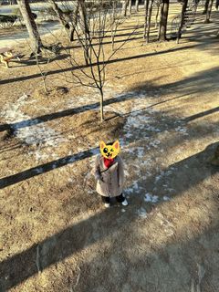 (Category: ) located in . Submitted by cessgapusan (Listing ID 1419275233, Image 1). Description: .