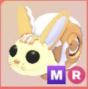 (Category: ) located in . Submitted by pinklemonade07 (Listing ID 1419350861, Image 1). Description: .