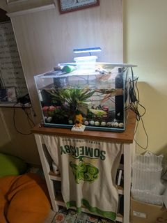 (Category: ) located in . Submitted by tigermilk (Listing ID 1419272786, Image 1). Description: .