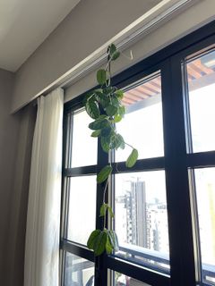 （分類：）位於 。 由 auroredl 提交（商品編號 1419259504，圖片 1）。簡介： 。