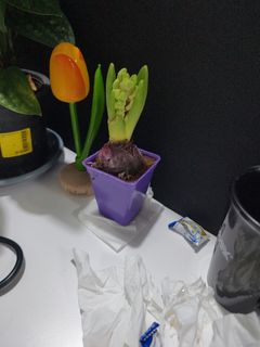 (Category: ) located in . Submitted by fernchin (Listing ID 1419265927, Image 1). Description: .