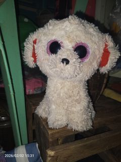 (Category: ) located in . Submitted by qizai21 (Listing ID 1419266851, Image 1). Description: .