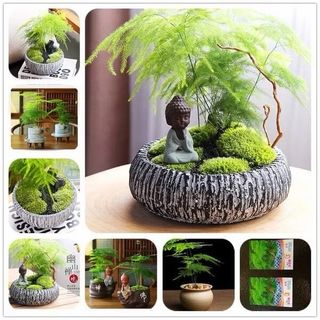 (Category: ) located in . Submitted by wholesale67 (Listing ID 1422531769, Image 1). Description: .