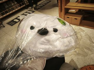 （分類：）位於 。 由 qwesadff 提交（商品編號 1422468495，圖片 1）。簡介： 。