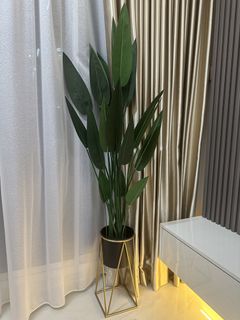(Category: ) located in . Submitted by hidayah.clearspace (Listing ID 1422541612, Image 1). Description: .