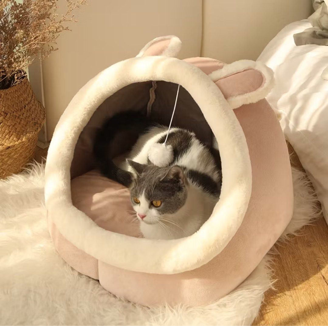 Cat Bed (Category: Homes & Other Pet Accessories) located in Lumut. Submitted by babylienly (Listing ID 1422420006, Image 1). Description: - RTS : kucing tak suka and tak guna - dapat sekali pet cooling pad for free - size M - boleh nego .