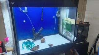 (Category: ) located in . Submitted by mssyr (Listing ID 1422541968, Image 1). Description: .
