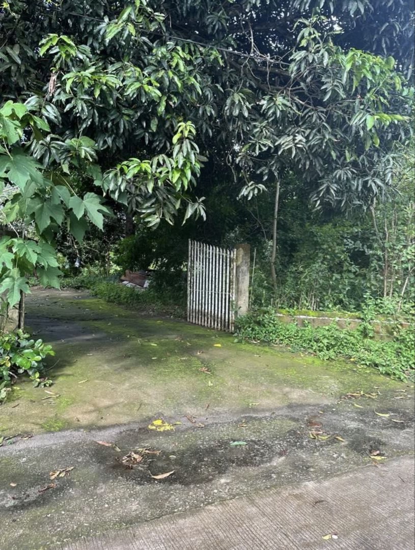 (Category: ) located in . Submitted by mamayeye (Listing ID 1422460546, Image 1). Description: .