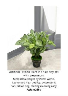 (Category: ) located in . Submitted by altonflowerscomm (Listing ID 1422461895, Image 1). Description: .