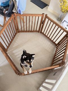 （分類：）位於 。 由 cychow56 提交（商品編號 1422421042，圖片 1）。簡介： 。