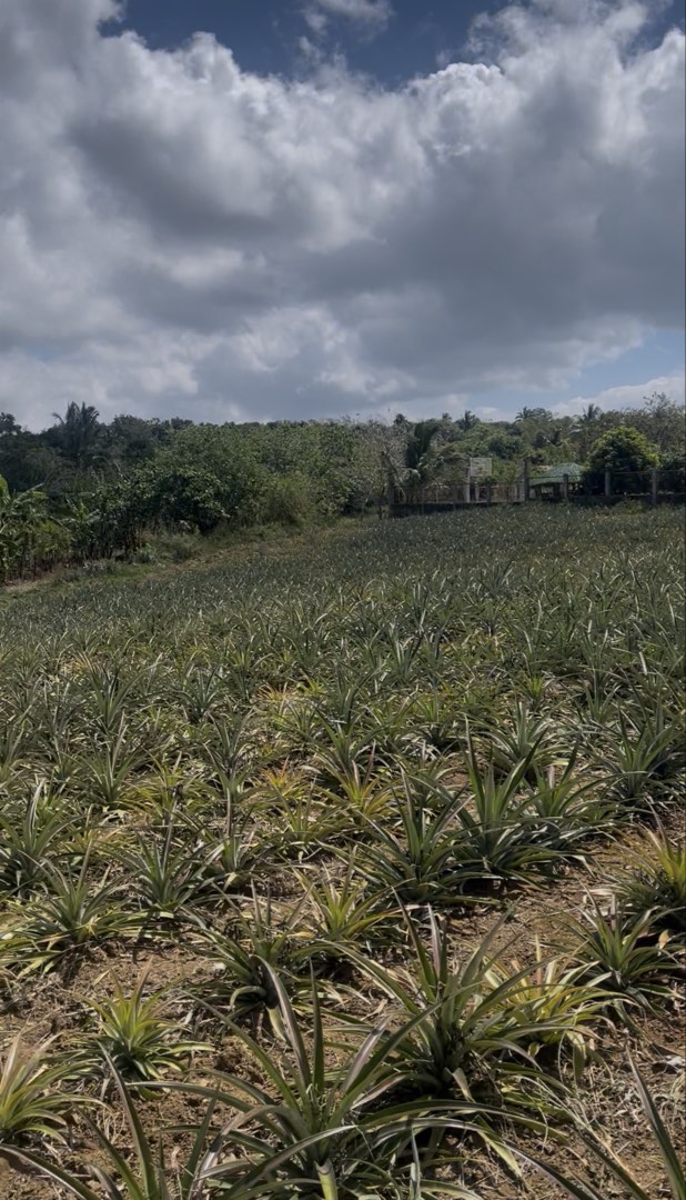 (Category: ) located in . Submitted by modernedge_livingph (Listing ID 1422671161, Image 1). Description: .