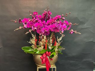 （分類：）位於 。 由 mansun6 提交（商品編號 1422709763，圖片 1）。簡介： 。