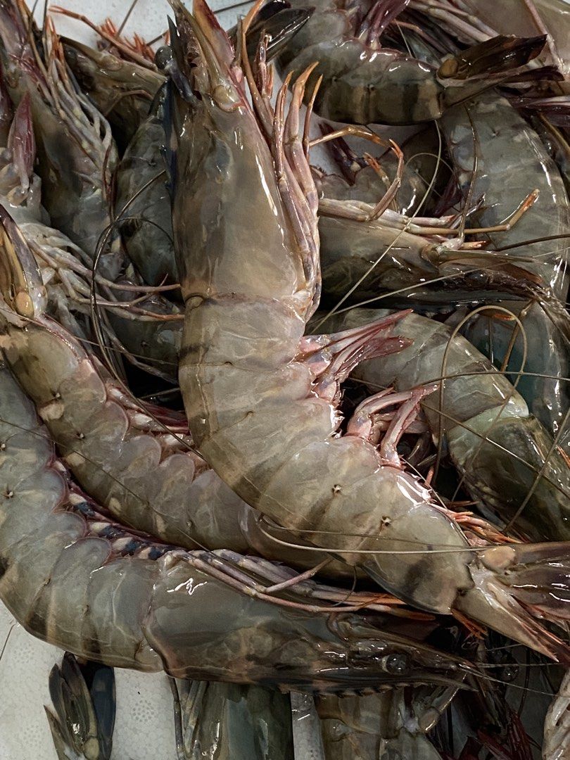 Fresh Tiger Prawn Location Gensan (Category: Fresh Produce) located in General Santos City (Dadiangas). Submitted by hello.marie (Listing ID 1422593605, Image 2). Description: -Location Gensan -Can ship nationwide - Freshly caught large up to XL shrimp - Excellent quality and size - Ready to cook - Great for grilling, frying, or any dish - Perfect for special occasions or everyday meals - Available in bulk orders!.