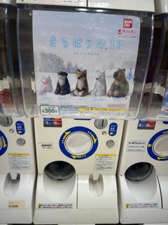 （分類：）位於 。 由 yuen06 提交（商品編號 1422736704，圖片 1）。簡介： 。