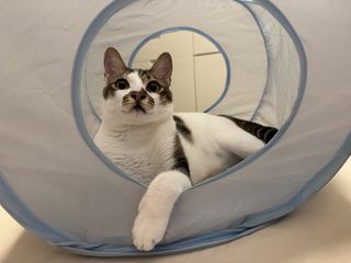 （分類：）位於 。 由 ogehs 提交（商品編號 1320872505，圖片 1）。簡介： 。