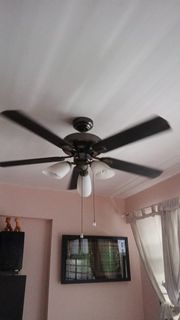 (Category: ) located in . Submitted by lhmfnam (Listing ID 1422748907, Image 1). Description: .