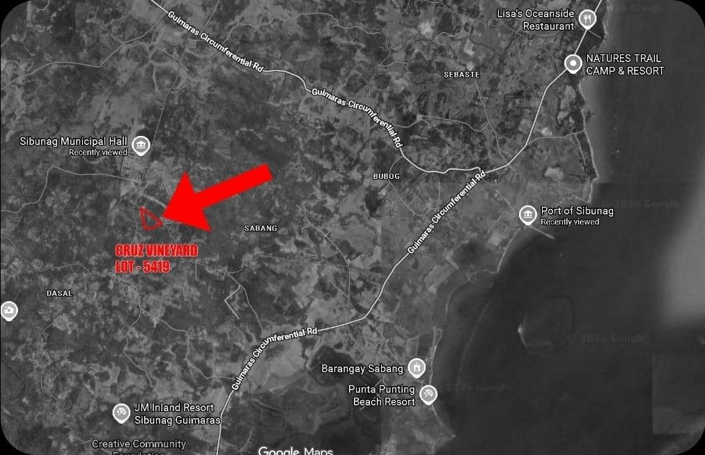 CRUZ VINEYARD ESTATE (Category: Lot) located in Santa Barbara. Submitted by eric.bantugan (Listing ID 1422758972, Image 2). Description: CRUZ VINEYARD ESTATE Brgy. Dasal, Sibunag, Guimaras A strategically positioned 2.6-hectare agricultural estate offering elevation, accessibility, water security, and existing productive plant assets. Lot Area: 25,822 sqm Price: ₱1,000 per sqm (₱25,822,000 total) Key Investment Highlights: • Approximately 200 MAS