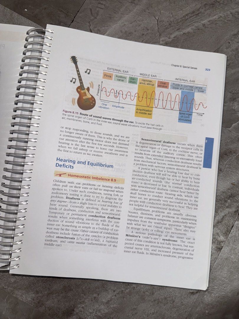 Essentials of Human Anatomy & Physiology 12th Edition, Hobbies & Toys ...