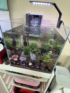 (Category: ) located in . Submitted by ylho1987 (Listing ID 1422794232, Image 1). Description: .