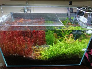 (Category: ) located in . Submitted by flashman3 (Listing ID 1423034375, Image 1). Description: .