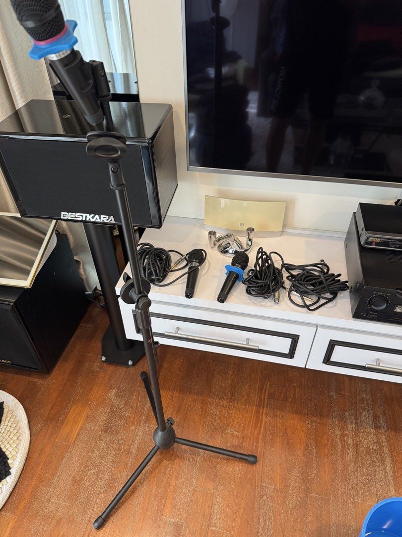 BestKara Professional Dynamic Microphone Set with Stand65561408129794112